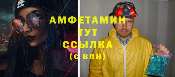 твердый Шадринск