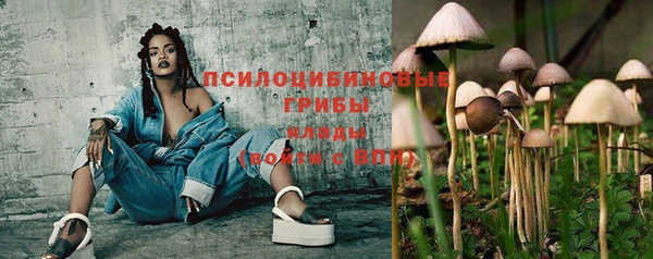 первитин Инсар