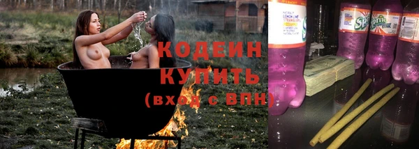 твердый Шадринск