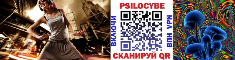 где можно купить наркотик  Кирсанов  Псилоцибиновые грибы Psilocybine cubensis 